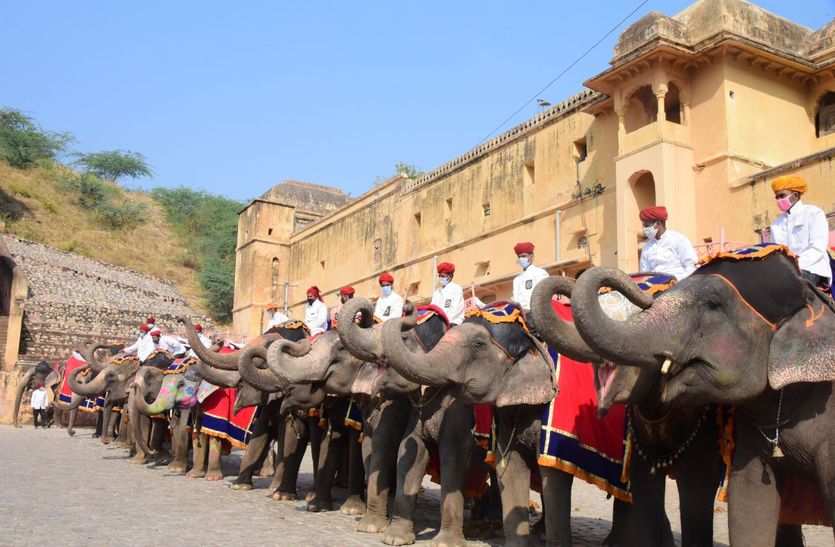 8 माह बाद आमेर महल में हाथी सवारी फिर शुरू