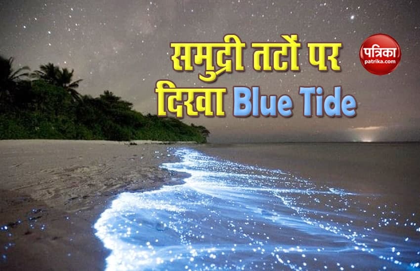 Blude tide in Maharashtra