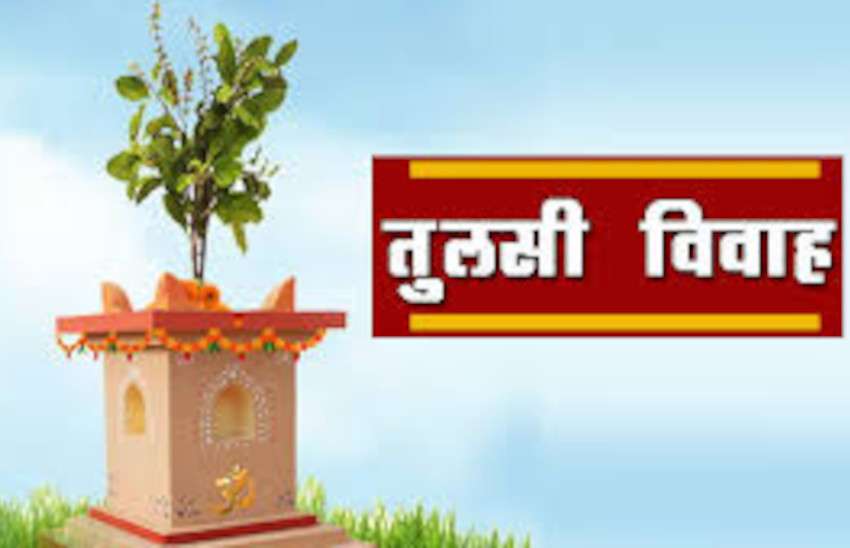 Tulsi Puja Vidhi Tulsi Vivah 2020 Shubh Muhurat 26 November 2020