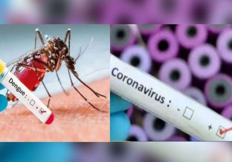 denguecorona.jpg