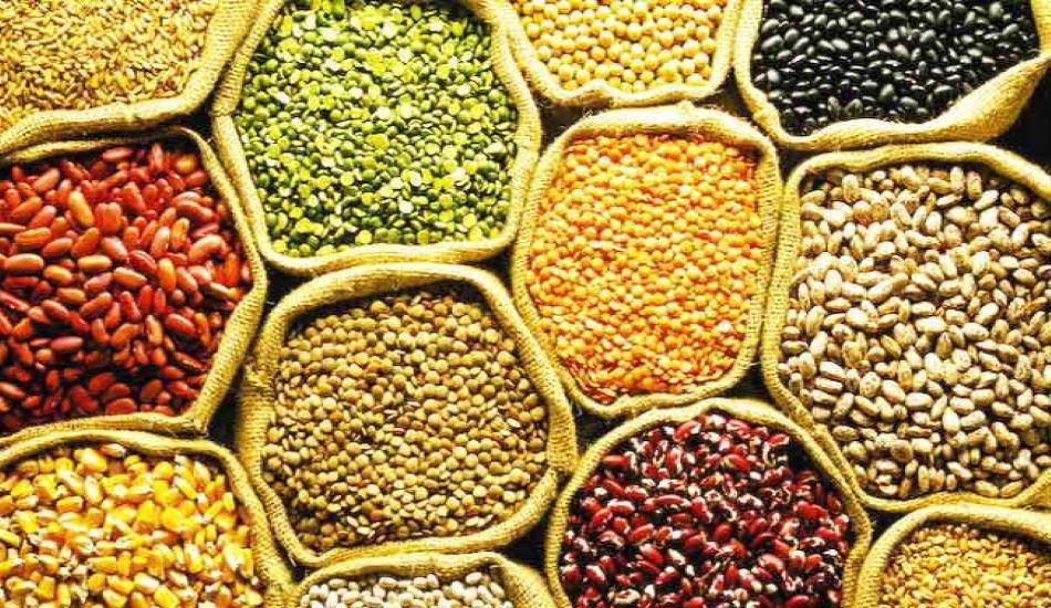 AGRI--कृषि उपज मंडी समिति ने जेडीए में जमा कराए 16 करोड़ रुपए