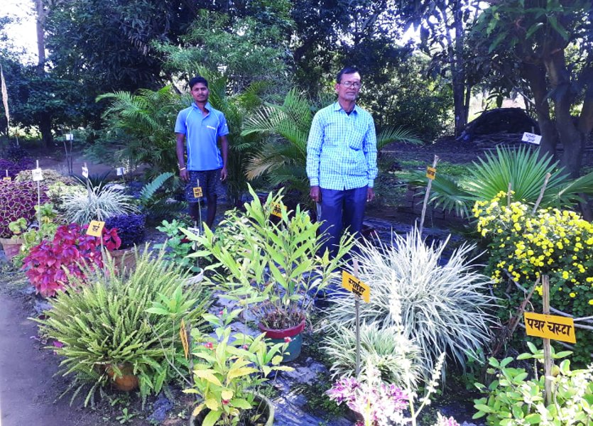 राजेंद्र मांझी की मेहनत लाई रंग: 50 डिसमिल में तैयार किए 150 प्रकार के औषधीय व फल-फूल के पौधे