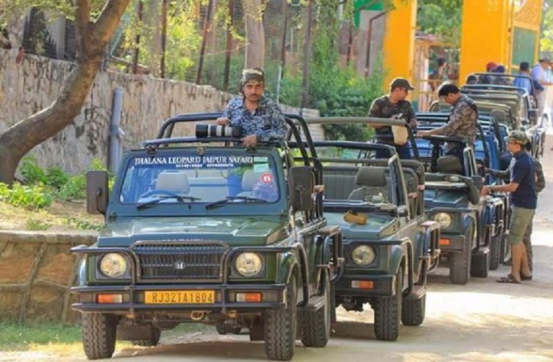 झालाना लेपर्ड सफारी: अंधाधुंध जिप्सी चलाने के चक्कर में जिप्सी नंबर दो पलटी