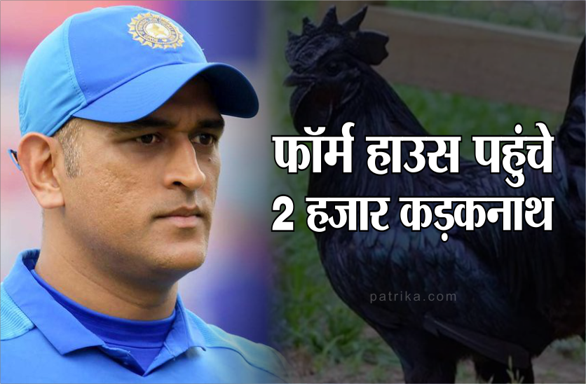 dhoni.png