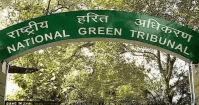 ngt