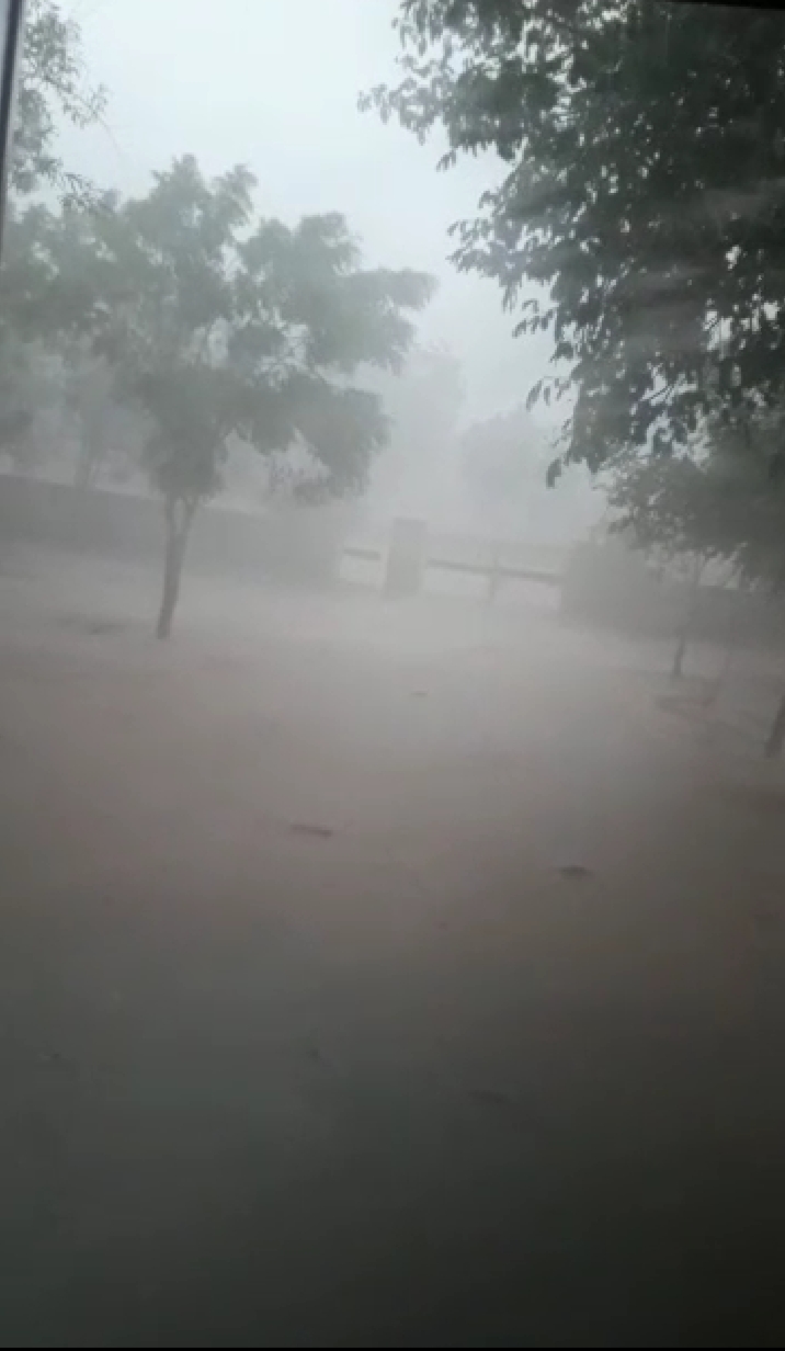 इन लड्डुओं में है हड्डियां मजबूत करने की ताकत