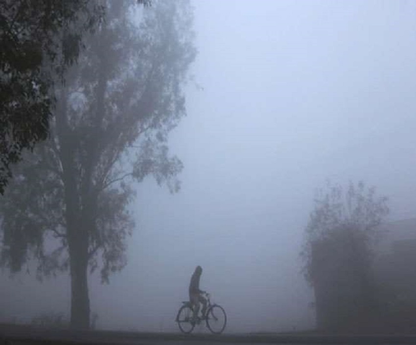WEST BENGAL WEATHER---कोलकाता समेत कई जिले कोहरे के आगोश में