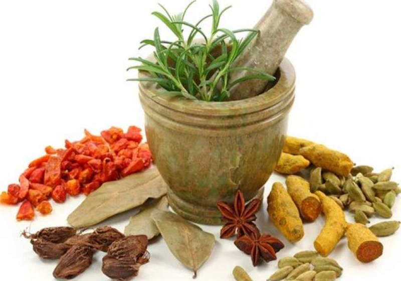 आयुर्वेद से कोरोना को मात देने की तैयारी, इलाज को मिलेगा वैज्ञानिक प्रमाण