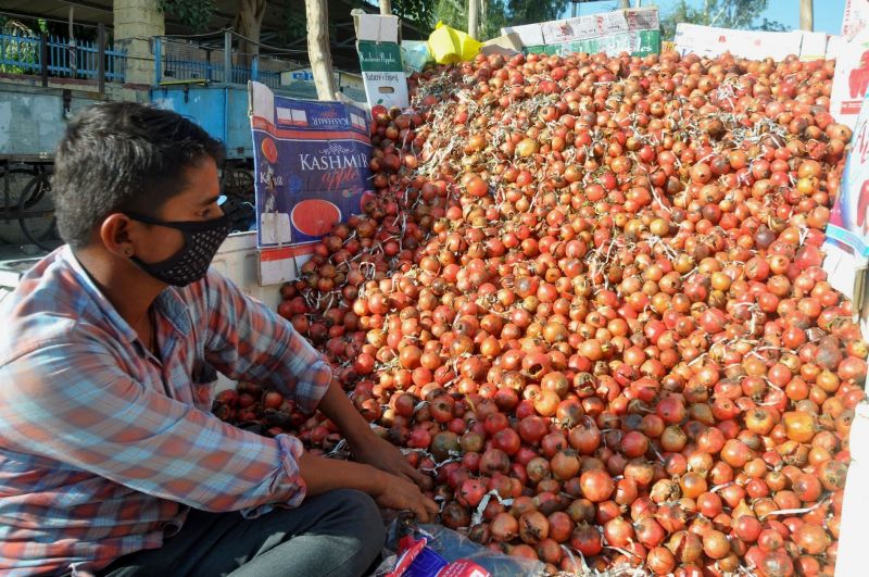 प्यास व आलू से भी सस्ता यह फल, धोरा धरती में भी नहीं मिल रहे खरीददार