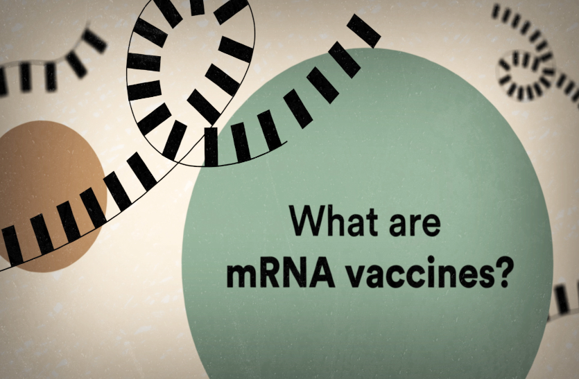 भारत में बनी पहली स्वदेशी mRNA वैक्सीन को ह्यूमन ट्रायलकी मंजूरी मिली