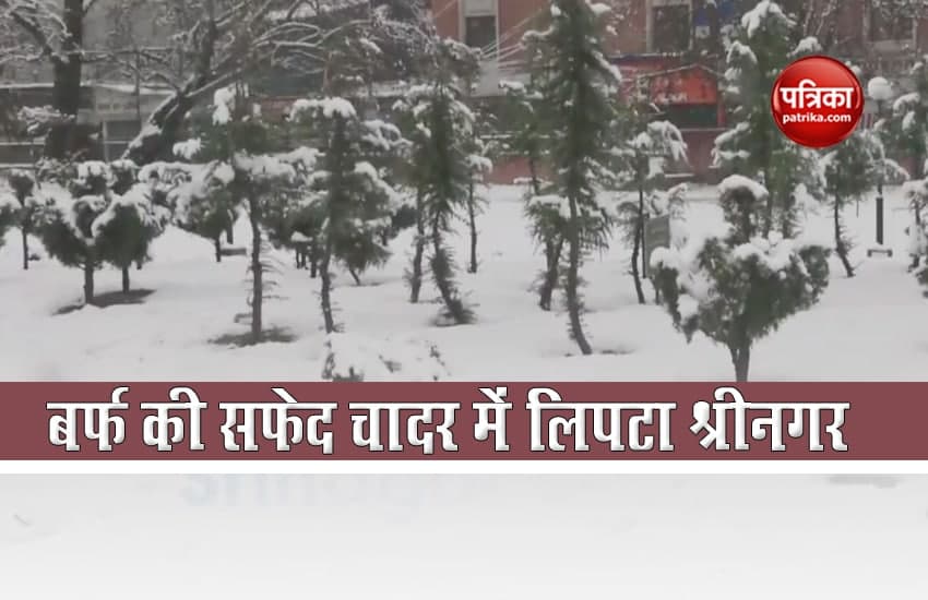 Jammu-Kashmir: बर्फ की सफेद चादर से ढका श्रीनगर, वीडियो में देखें नजारा