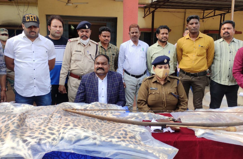 तेंदुआ और हिरण की खाल बेचने के फिराक में घूम रहे तीन आरोपी गिरफ्तार, तीर-कमान जब्त