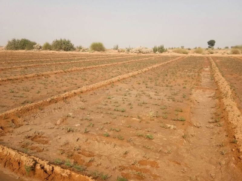 Video: शीतलहर से बढ़ गया सर्दी का असर