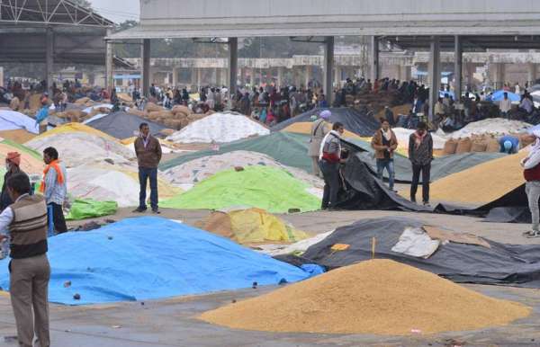 सुबह कोहरा,दिन मे मावठ ,बढ़ी सर्दी