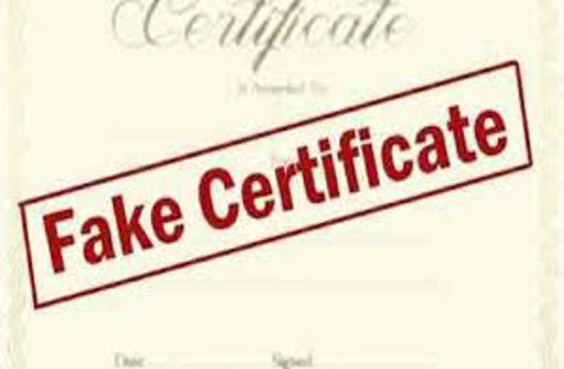 CG में 267 अधिकारी-कर्मचारियों ने फर्जी जाति प्रमाण पत्र से हासिल की नौकरी, सूची में BSP कर्मचारी, डिप्टी कलेक्टर और DSP रैंक के अधिकारी भी शामिल