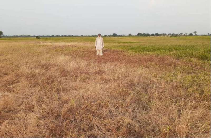 पहली बार जिले के सभी किसानों को मिला क्लेम