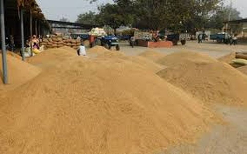 भाजपा नेता गिना रहे कृषि कानून के फायदे, हनुमानगढ़ में किसानों को न्यूनतम मूल्य के लिए बहाना पड़ रहा पसीना -धान उत्पादक किसान फंसे आर्थिक मुसीबत में