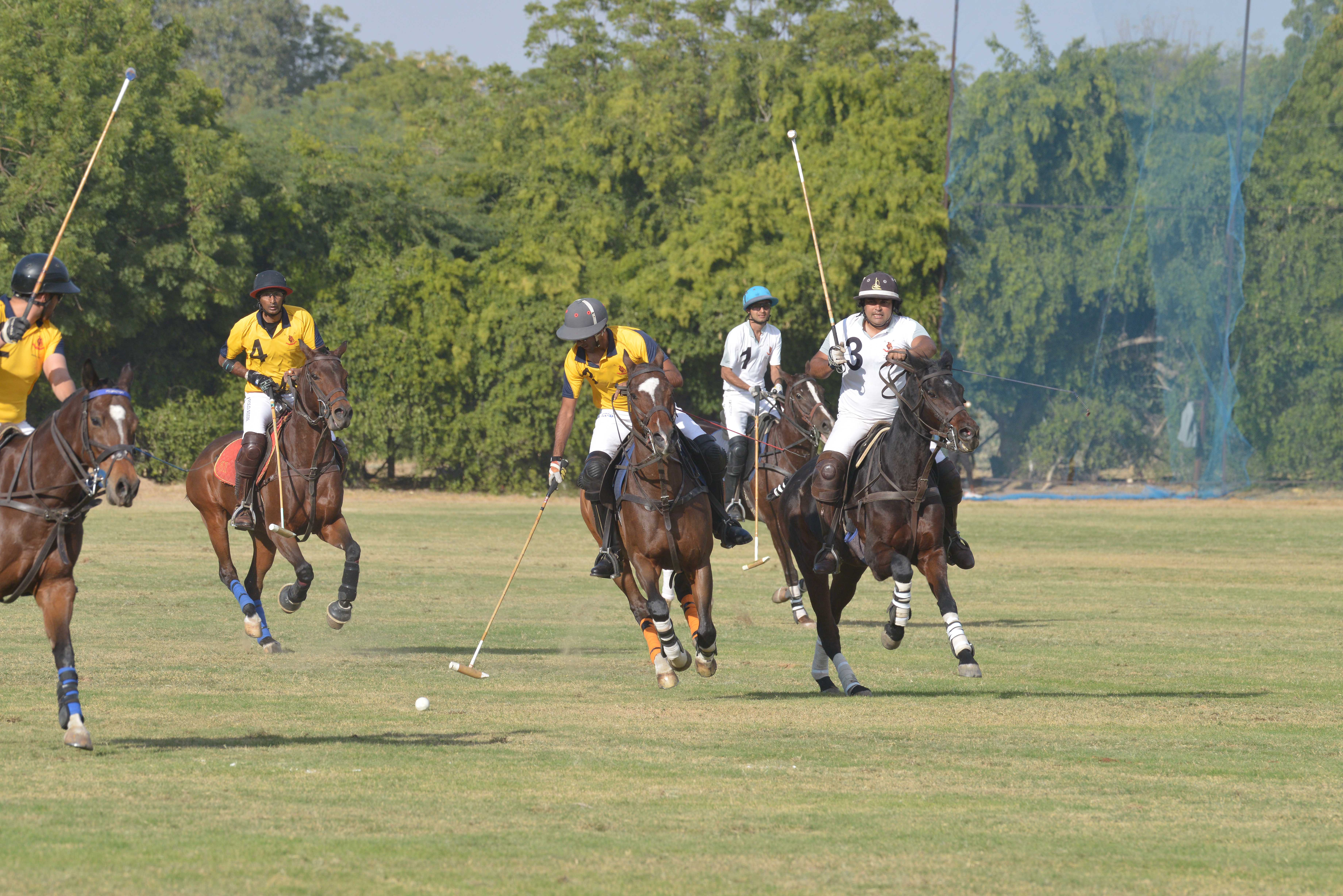 JODHPUR POLO SEASON---आर्मी टाइगर्स ने जीता आर्मी कमांडर्स कप
