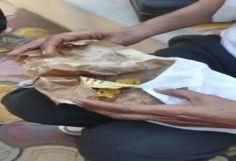 समोसे में छपकली ...!