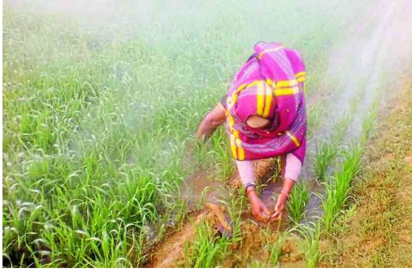 Big news for farmers in bhilwara