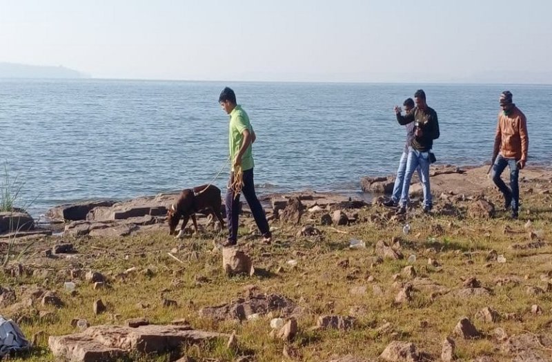 बालोद: तांदुला डैम पिकनिक स्पॉट पर युवक की गला रेतकर हत्या, पहचान छिपाने पत्थर से कुचला चेहरा