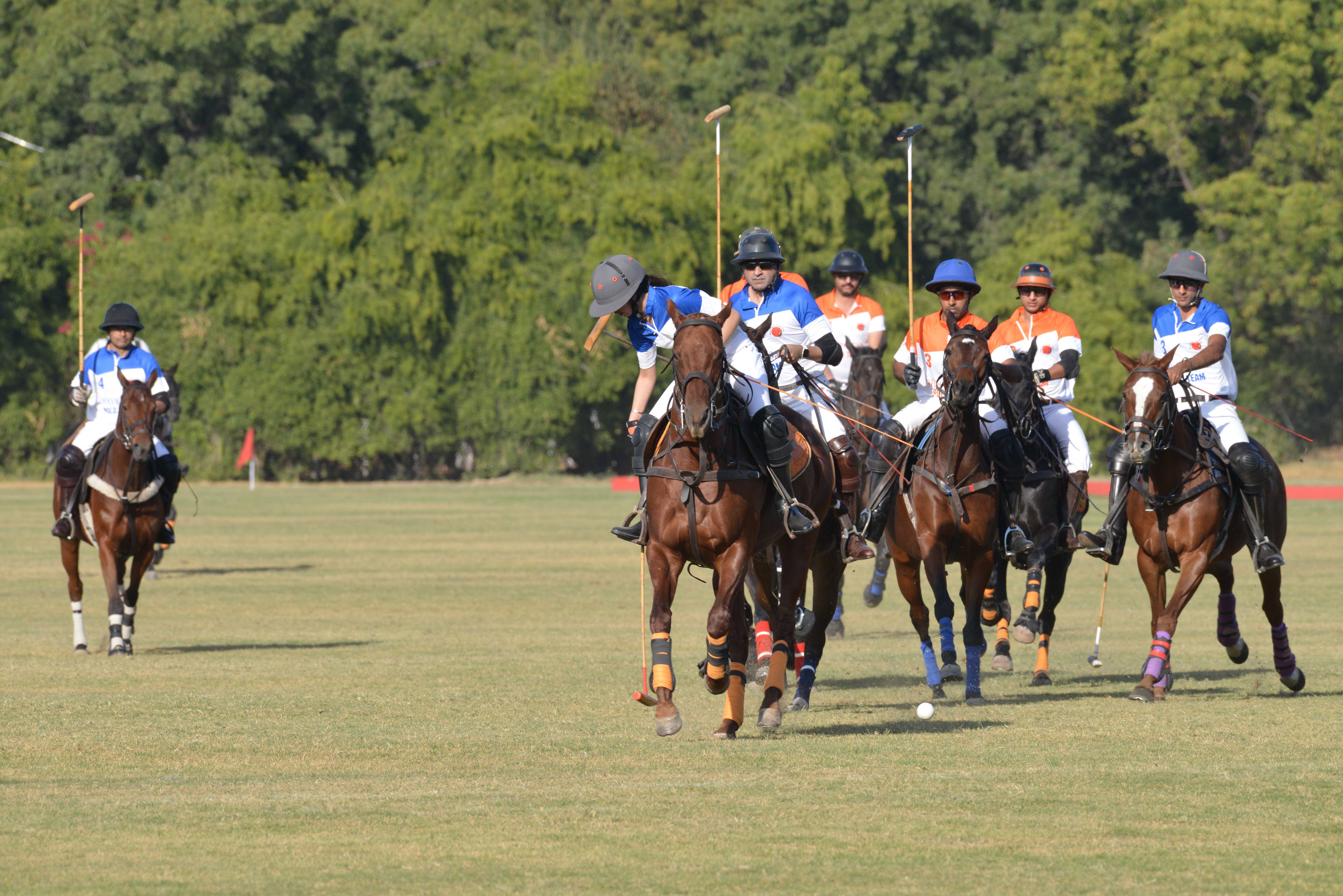 JODHPUR POLO SEASON--भावनगर टाइगर्स टीम ने भावनगर नाइट्स को हराया