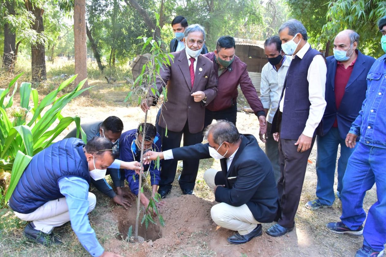 JNVU: एमबीएम इंजीनियरिंग कॉलेज में पौधरोपण