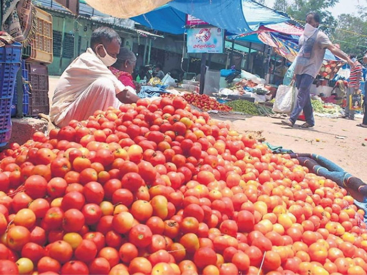 Tomato Price down in Andhra Pradesh 