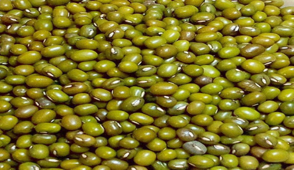PULSES---आयातित दालों पर निर्भरता होगी खत्म
