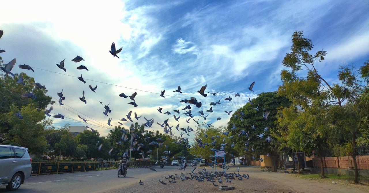 ताजी सांसों के साथ प्रदेश का वर्ष 2021 में प्रवेश