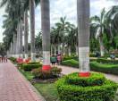 meghdoot-garden-indore-parks-g9f7olj1p8.jpg