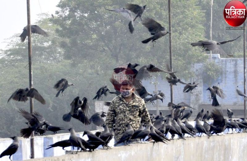 कोरोना के कहर के बीच बर्ड फ्लू ने चढ़ाया ‘बुखार’