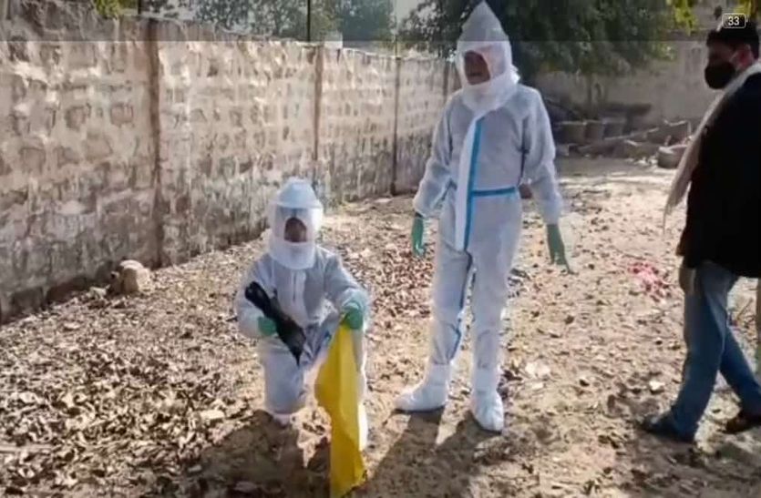 सेतरावा में मृत मिले 27 कौए