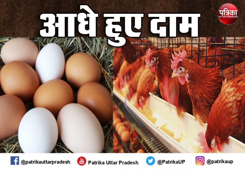 अंडे और चिकन के दामों में भारी गिरावट