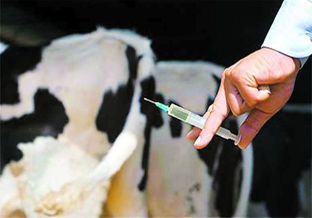 पशु टीकाकरण अभियान को प्रभावी ढंग से संचालित करने के निर्देश