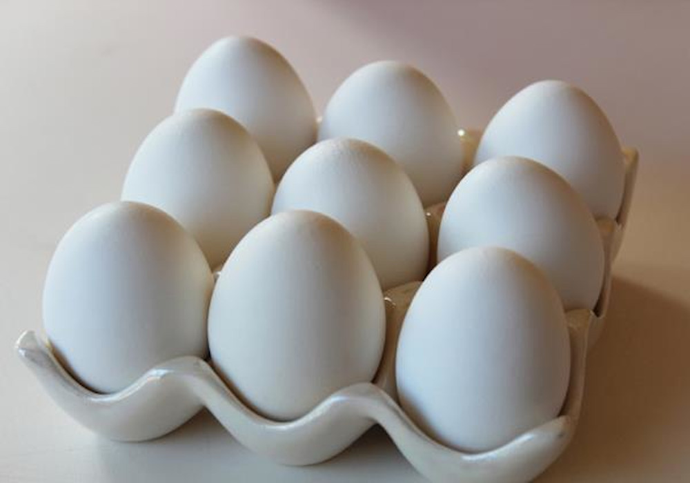 पोल्ट्री कारोबार हुआ प्रभावित, अंडे और चिकन के दाम में भारी गिरावट, 20 फीसदी हुए सस्ते