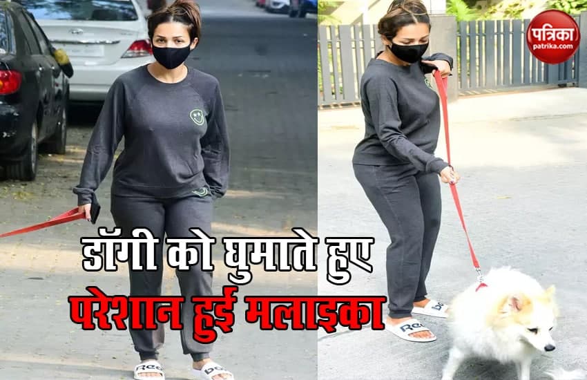Actress Malaika Arora Caught In Cameras While Handling The Dog
