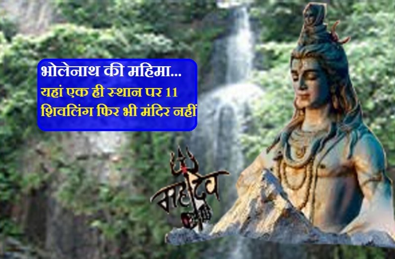 11 special shivlings