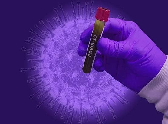 Nanobodies developed to fight coronavirus 