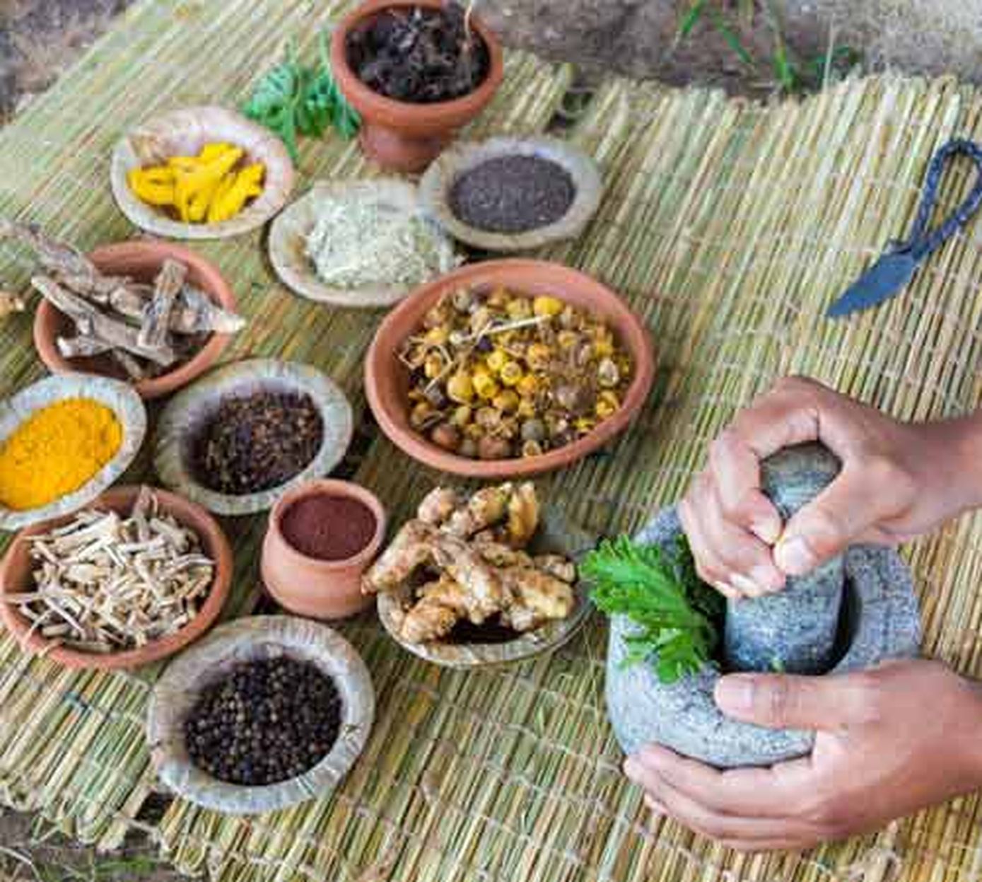 देेश के 2700 आयुर्वेद शिक्षकों पर 10 साल का प्रतिबंध