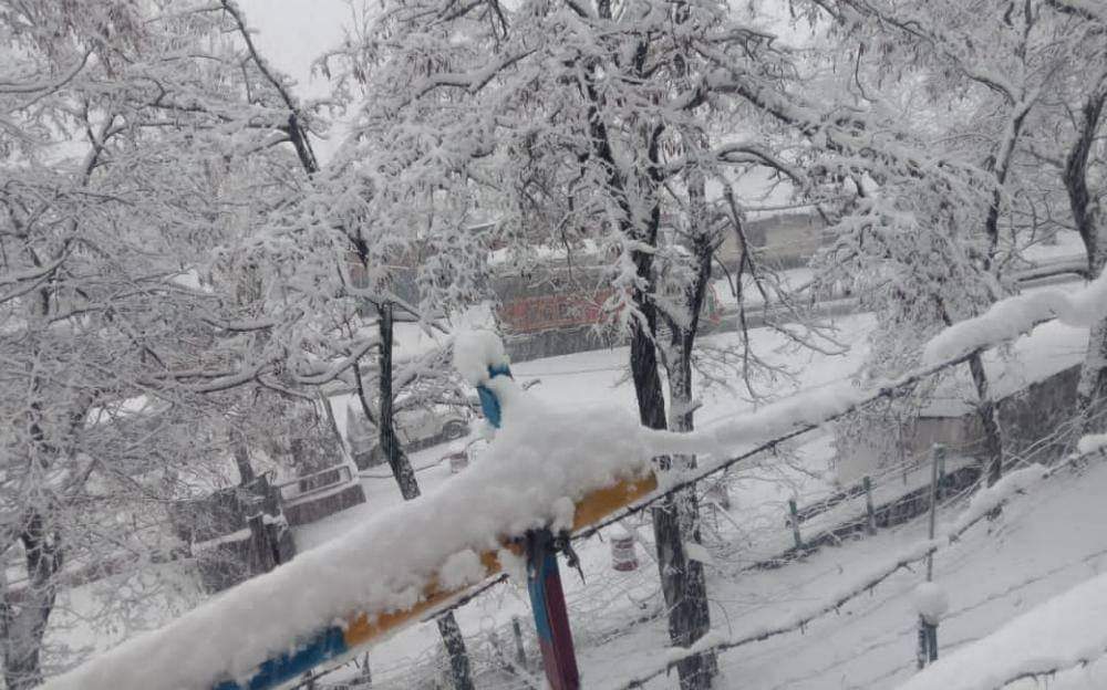 snowfall in srinagar