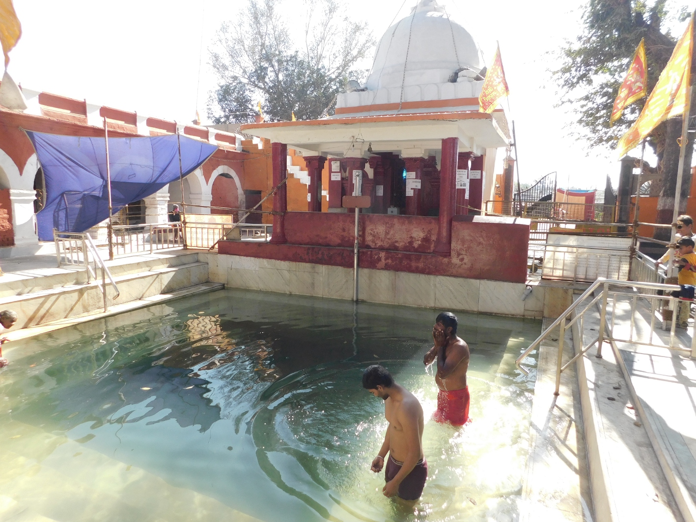 Banganga Kund cattle get relief from disease by water
