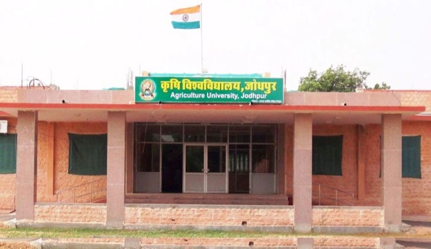 डिग्री लेने के बाद सरकारी नौकरी को लक्ष्य बनाने की बजाए स्टार्टअप विकसित करें विद्यार्थी
