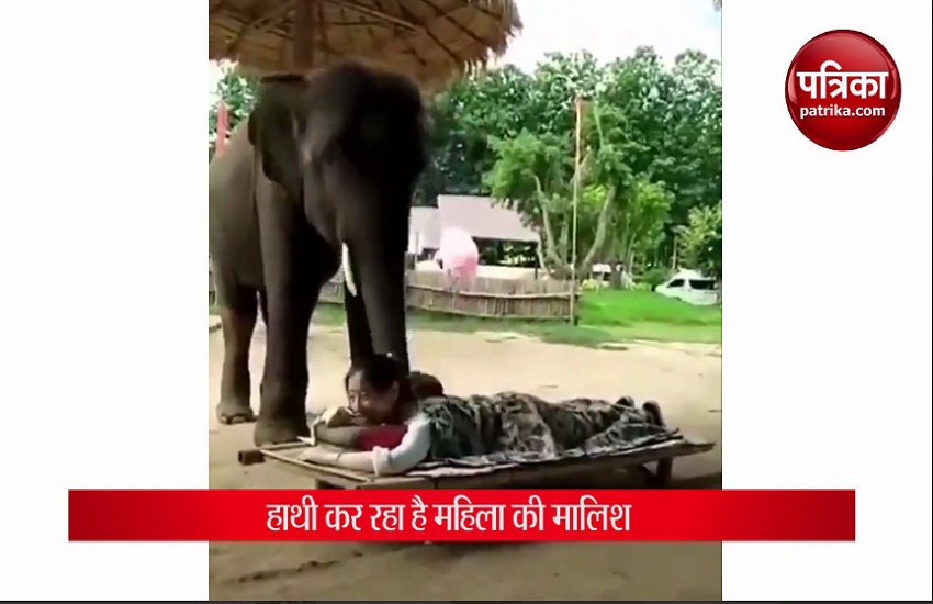 हाथी ने सूंड से नही पैर से किया मसाज, महिला का हुआ ऐसा हाल, देखकर रह जाएंगे दंग