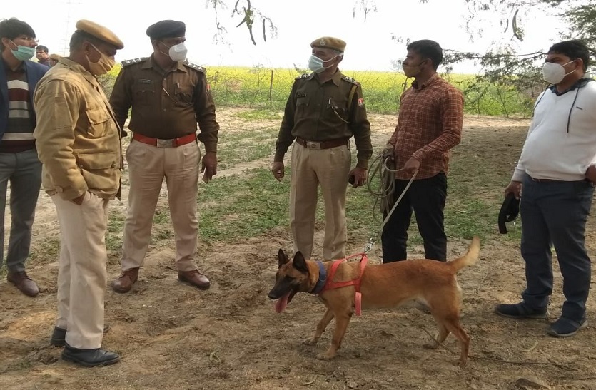 सरसों के खेत में मिला युवती का शव, गला घोंटकर की हत्या