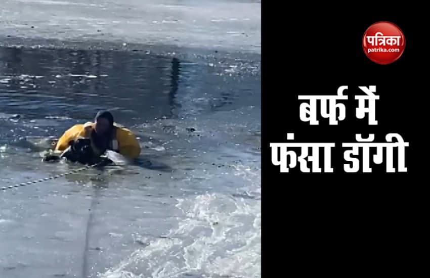 Video : बर्फ से जमी झील में फंसे कुत्ते को फायर फाइटर ने निकाला बाहर, लोगों ने कहा शुक्रिया