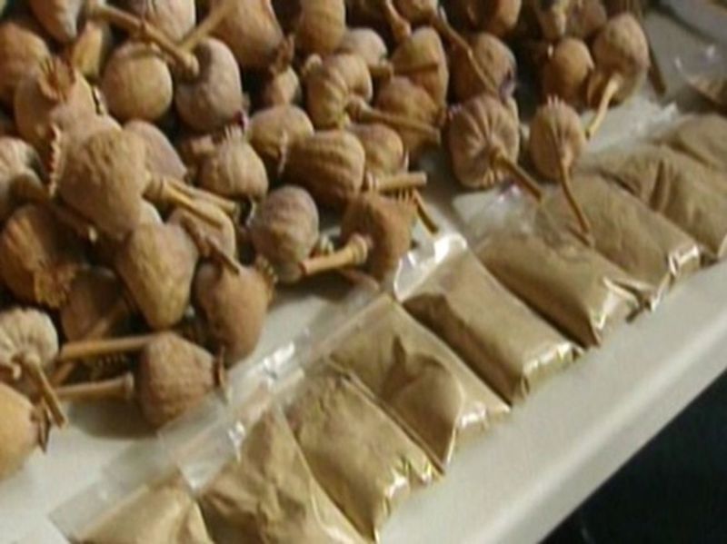 37.5  किलो डोडा पोस्त, 4.28 लाख रुपए व कैम्पर जब्त