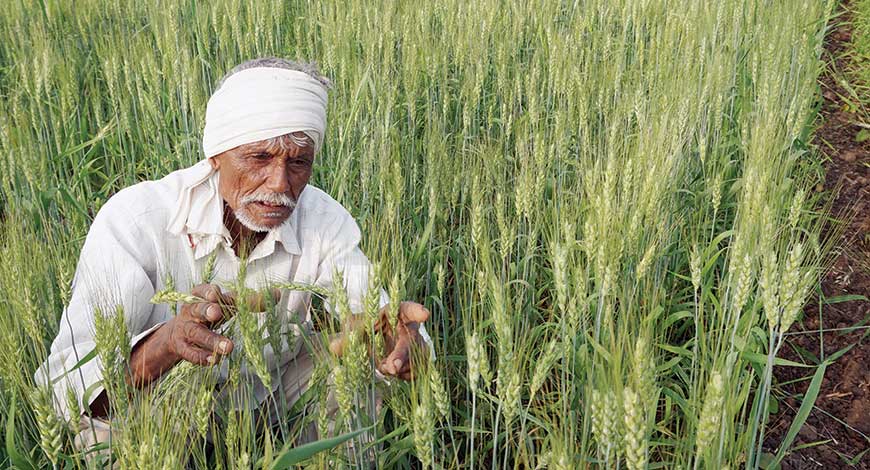 kisan.jpg