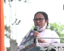 mamata banerjee