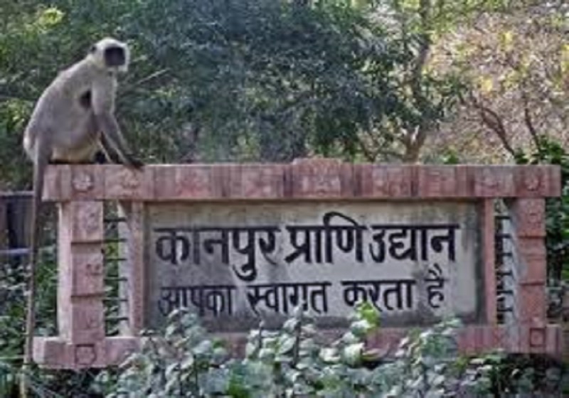 अगले माह दर्शक कर सकेंगे चिड़ियाघर का दीदार, नहीं मिले बर्ड फ्लू के लक्षण